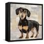 Dachshund-Keri Rodgers-Framed Stretched Canvas