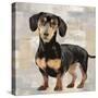 Dachshund-Keri Rodgers-Stretched Canvas
