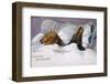 Dachshunds in Bed a Marriage of Convenience-null-Framed Photographic Print