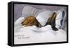 Dachshunds in Bed a Marriage of Convenience-null-Framed Stretched Canvas