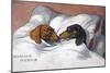 Dachshunds in Bed a Marriage of Love-null-Mounted Photographic Print