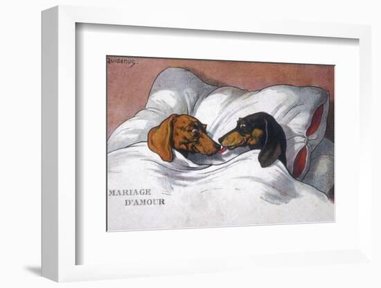 Dachshunds in Bed a Marriage of Love-null-Framed Photographic Print