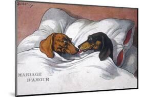 Dachshunds in Bed a Marriage of Love-null-Mounted Photographic Print