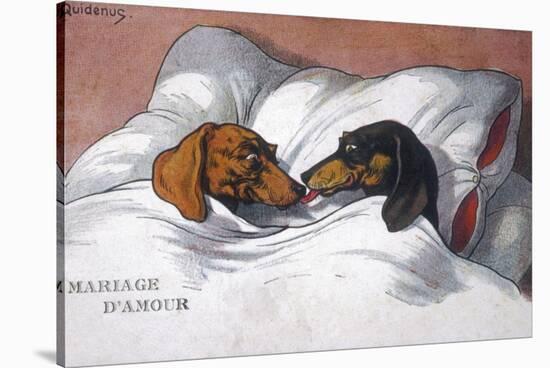 Dachshunds in Bed a Marriage of Love-null-Stretched Canvas