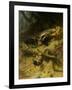 Dachshunds on a Badger-Guido Maffei-Framed Giclee Print