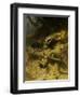 Dachshunds on a Badger-Guido Maffei-Framed Giclee Print