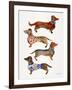 Dachshunds-Cat Coquillette-Framed Art Print