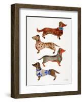 Dachshunds-Cat Coquillette-Framed Art Print