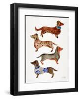 Dachshunds-Cat Coquillette-Framed Art Print