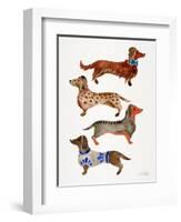 Dachshunds-Cat Coquillette-Framed Art Print