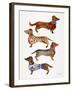 Dachshunds-Cat Coquillette-Framed Art Print