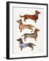 Dachshunds-Cat Coquillette-Framed Art Print