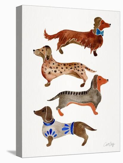 Dachshunds-Cat Coquillette-Stretched Canvas