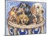 Dachsund in a Basket-Barbara Keith-Mounted Giclee Print
