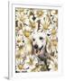 Dachsund in Daisies-Barbara Keith-Framed Giclee Print