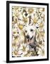 Dachsund in Daisies-Barbara Keith-Framed Giclee Print