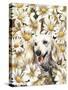 Dachsund in Daisies-Barbara Keith-Stretched Canvas