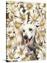 Dachsund in Daisies-Barbara Keith-Stretched Canvas