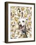 Dachsund in Daisies-Barbara Keith-Framed Giclee Print