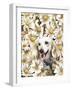 Dachsund in Daisies-Barbara Keith-Framed Giclee Print