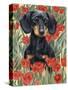 Dachsund in Tulips-Barbara Keith-Stretched Canvas