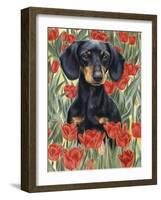 Dachsund in Tulips-Barbara Keith-Framed Giclee Print