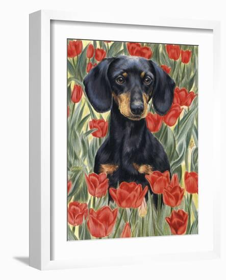 Dachsund in Tulips-Barbara Keith-Framed Giclee Print