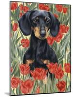 Dachsund in Tulips-Barbara Keith-Mounted Giclee Print