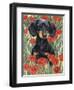 Dachsund in Tulips-Barbara Keith-Framed Giclee Print