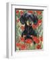 Dachsund in Tulips-Barbara Keith-Framed Giclee Print