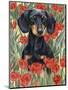 Dachsund in Tulips-Barbara Keith-Mounted Giclee Print