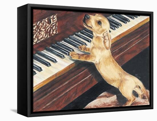 Dachsund Playing Piano-Barbara Keith-Framed Stretched Canvas