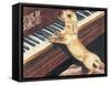 Dachsund Playing Piano-Barbara Keith-Framed Stretched Canvas