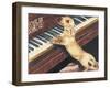 Dachsund Playing Piano-Barbara Keith-Framed Giclee Print