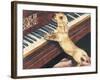 Dachsund Playing Piano-Barbara Keith-Framed Giclee Print