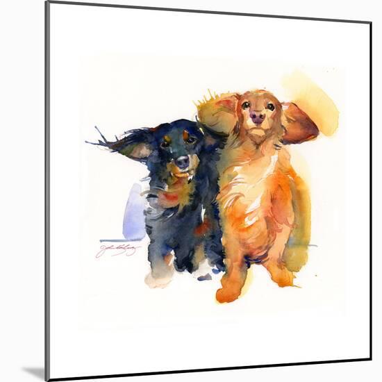 Dacshund Duo, 2014-John Keeling-Mounted Giclee Print