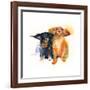 Dacshund Duo, 2014-John Keeling-Framed Giclee Print