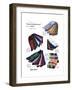 Dad and Lad. Put Your Best Foot Forward! Nylon Socks-Fashion Frocks-Framed Art Print