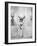 Daddy Long Legs, 1955-null-Framed Photographic Print