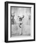 Daddy Long Legs, 1955-null-Framed Photographic Print