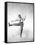 Daddy Long Legs (photo)-null-Framed Stretched Canvas