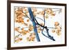 Daddy Long Legs-Jackie Battenfield-Framed Giclee Print