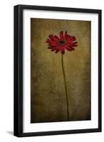 Daddy’s Flower I-Barbara Simmons-Framed Giclee Print