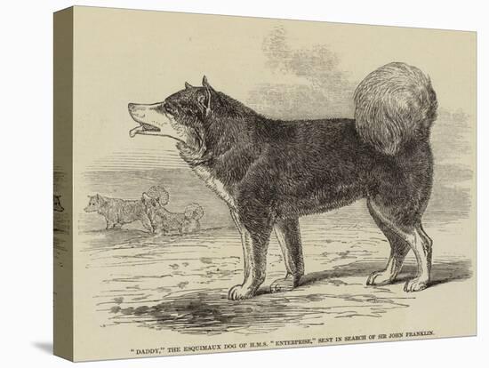 Daddy, the Esquimaux Dog of HMS Enterprise, Sent in Search of Sir John Franklin-null-Stretched Canvas