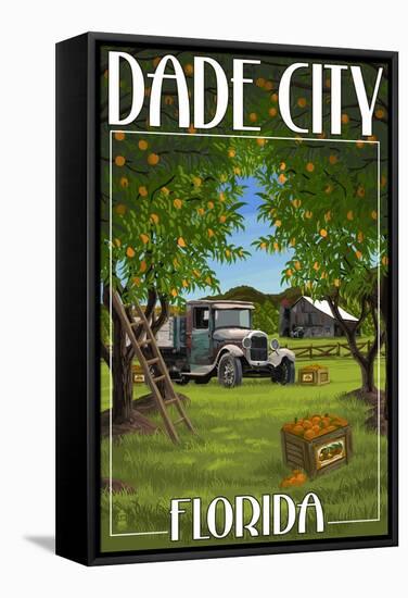 Dade City, Florida - Orange Orchard Scene-Lantern Press-Framed Stretched Canvas