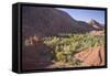 Dades Valley and the Gorges, Atlas Mountains, Morocco, North Africa, Africa-Gavin Hellier-Framed Stretched Canvas