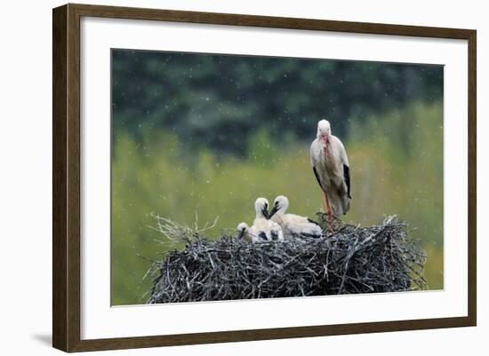 Dady...-Nicolás Merino-Framed Photographic Print