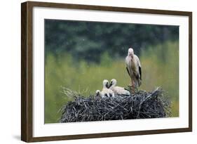 Dady...-Nicolás Merino-Framed Photographic Print