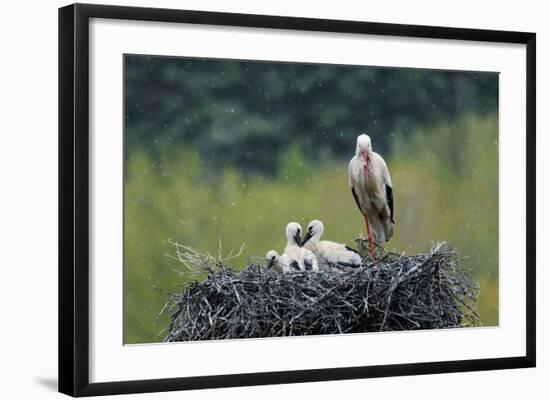 Dady...-Nicolás Merino-Framed Photographic Print