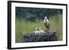 Dady...-Nicolás Merino-Framed Photographic Print